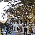 Conte